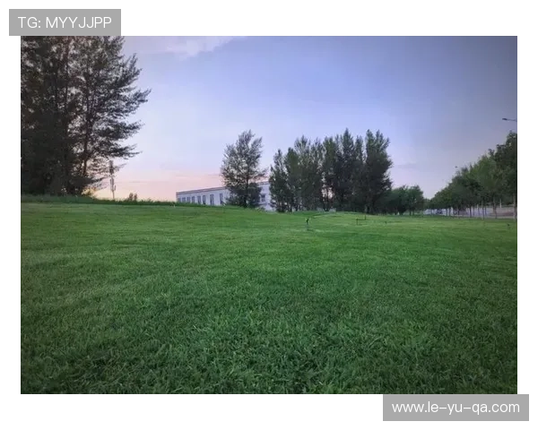 星级球场草坪精细化养护技术全新升级